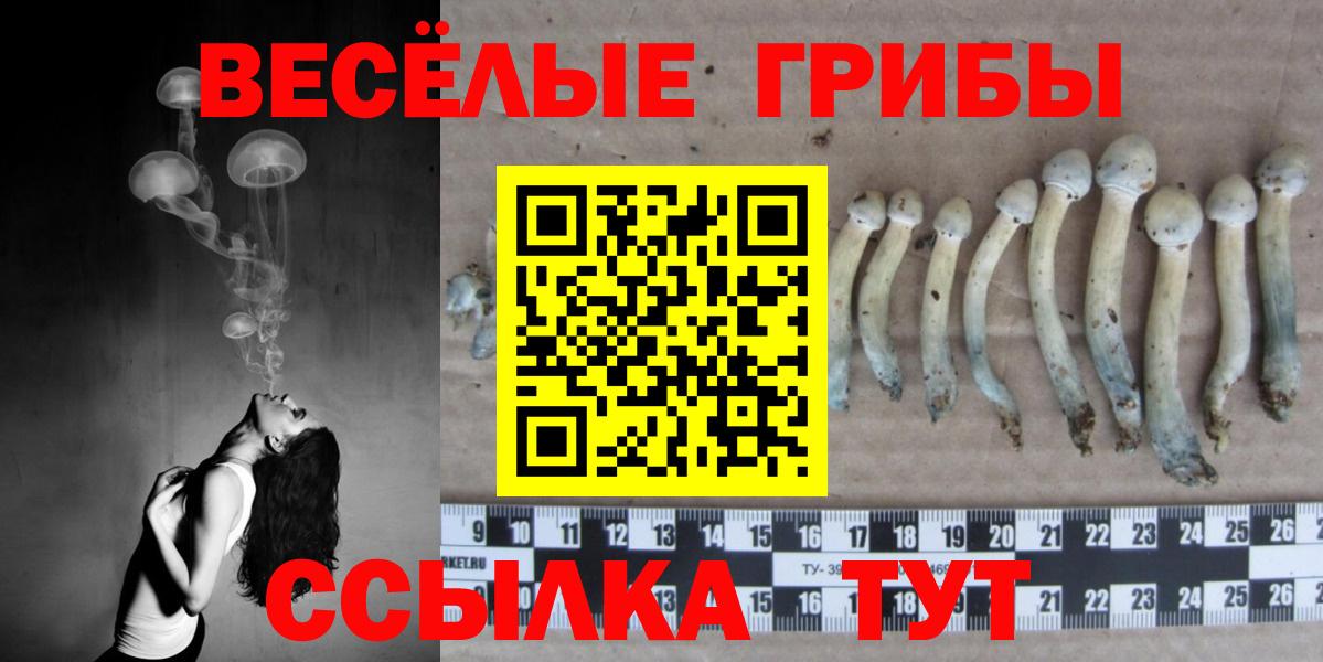 Галлюциногенные грибы MAGIC MUSHROOMS  Вход с VPN  цены наркотик  Копейск 